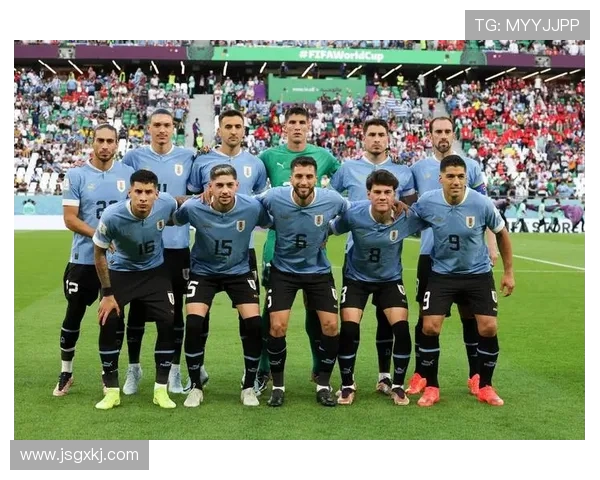 乌拉圭与法国巅峰对决精彩回顾及赛后分析