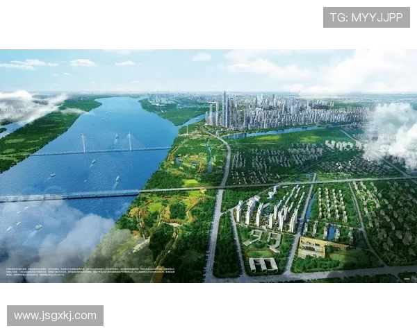 南京飞盘队实力对比深度解析与未来发展趋势探讨