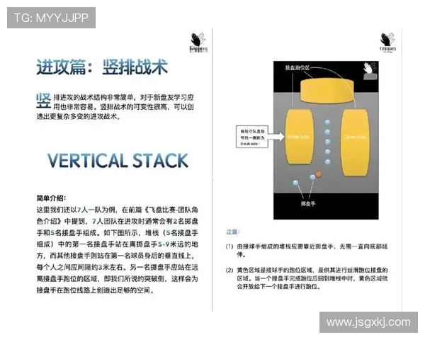 武汉飞盘队与杭州飞盘队赛后战术分析与总结探讨